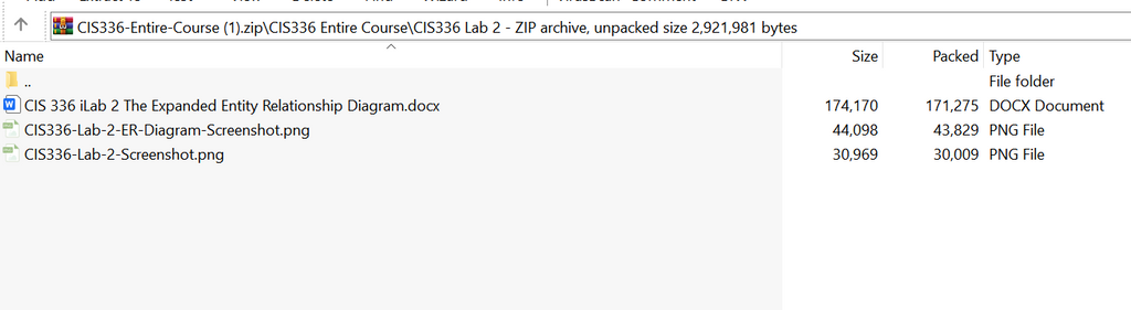 (New Full Course Guide) CIS336 Entire Course Study Guide Solution Download