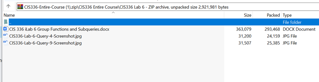 (New Full Course Guide) CIS336 Entire Course Study Guide Solution Download