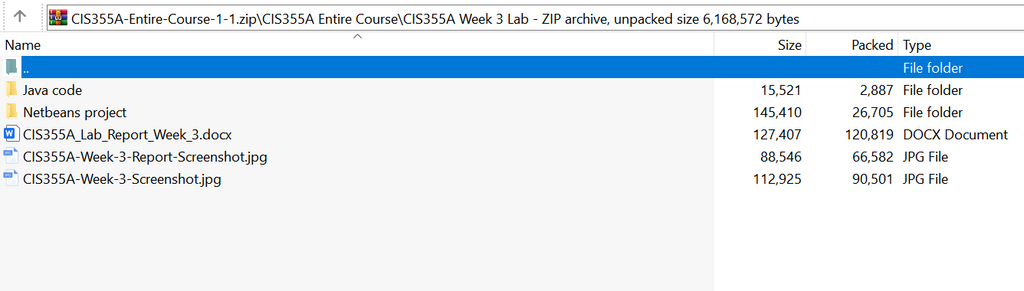 (New Full Course Guide) CIS355A Entire Course Study Guide Solution Download
