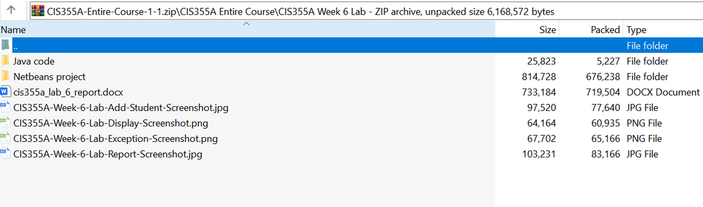 (New Full Course Guide) CIS355A Entire Course Study Guide Solution Download