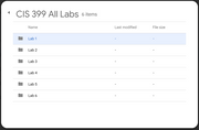 (New Full Course Guide) CIS399 All Labs Study Guide Solutions - Strayer University