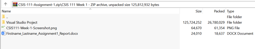 (New Full Course Guide) CSIS 111 Module Week 1-8 Study Solution Download