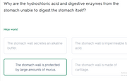 Q&A: HESI A2 Anatomy main _ Quizlet 30 Questions 2026