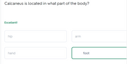 Q&A: HESI A2 Anatomy main _ Quizlet 30 Questions 2026