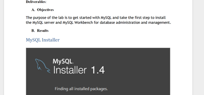 (New Course Guide) MIS561 Lab Study Guide Solution download