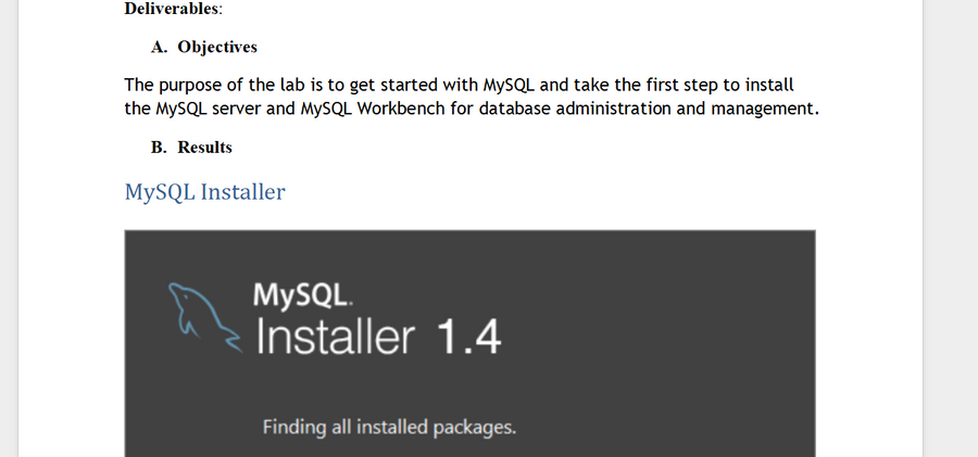 (New Course Guide) MIS561 Lab Study Guide Solution download