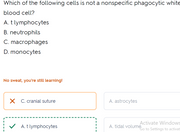 ATI TEAS Anatomy and Physiology 2026-2027-40 questions