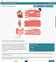Actual ATI TEAS Study Guide ebook Screenshots 2026-27